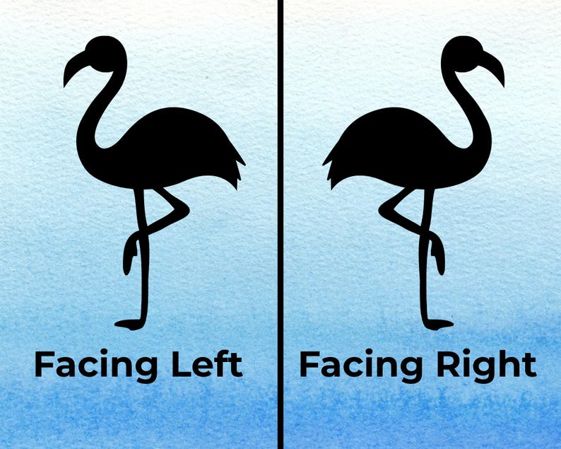 Flamingo direction options for decal.