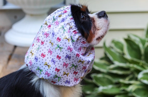 Must-Have Pet Accessories: Dog Snoods - Delightful Dapple