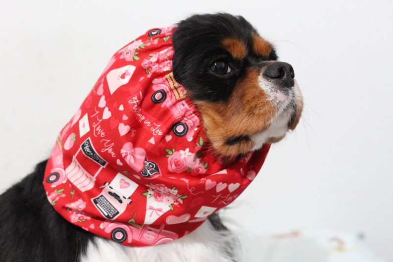Valentine’s Day Dog Snood worn by a Cavalier King Charles Spaniel.