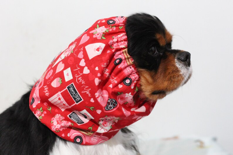 Valentine’s Day pattern dog snood worn by a Cavalier.