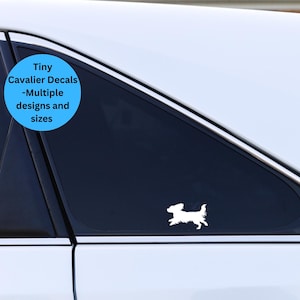 May include: A white silhouette of a Cavalier King Charles Spaniel running, on a black car window. The decal is on the back window of a white car. A blue circle with the text "Tiny Cavalier Decals -Multiple designs and sizes" is in the upper left corner of the image.