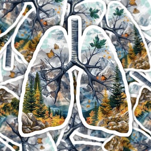 Sticker Mountain Serenity Longen