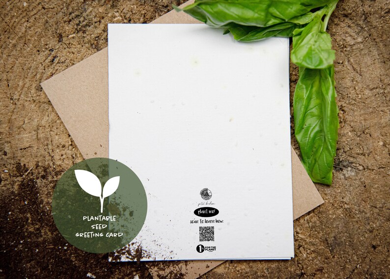 Pu&ograve; includere: Un biglietto di auguri con semi piantabili bianco con una busta di carta kraft, su una superficie di legno. La carta ha un logo circolare verde con un disegno a foglia e le parole "Plantable Seed Greeting Card". Sono visibili foglie di basilico fresco.