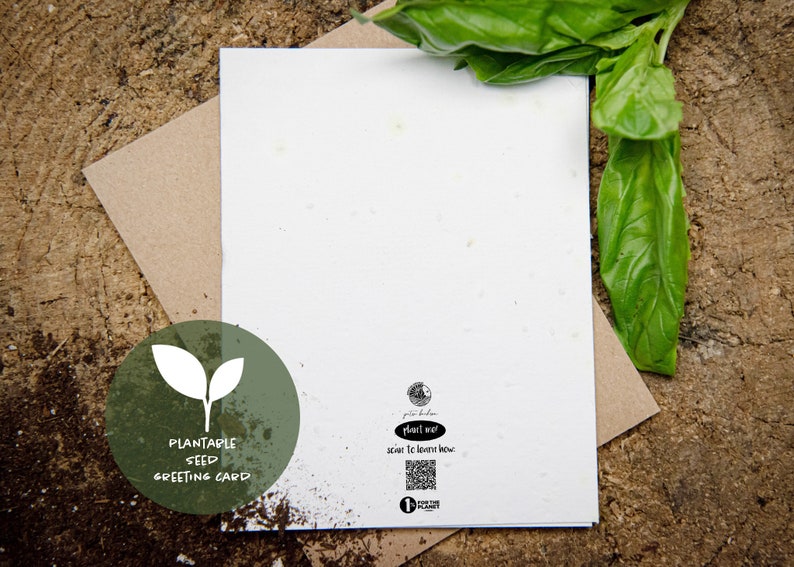 May include: A white plantable seed greeting card with a kraft paper envelope, on a wooden surface. The card features a green circular logo with a leaf design and the words "Plantable Seed Greeting Card". Fresh basil leaves are visible.