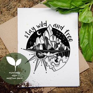 May include: A white greeting card with a black and white mountain and compass design, the words "stay wild and free" are written above the design. A green circle with a plant graphic and the words "plantable seed greeting card" is in the lower left corner.