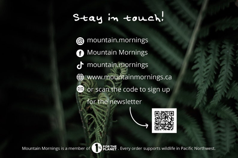 K&ouml;nnte beinhalten: Dunkelgr&uuml;nes Bild mit dem Text "Stay in touch!" und Social-Media-Kontakten von Mountain Mornings, einschlie&szlig;lich Instagram, Facebook und TikTok. Ein QR-Code zum Newsletter-Anmelden vor einem Farnhintergrund.