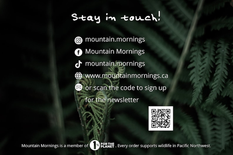 Puede incluir: Un helecho verde con un c&oacute;digo QR y texto que dice "&iexcl;Mantente en contacto!" e incluye identificadores de redes sociales y una direcci&oacute;n de sitio web para Mountain Mornings. El texto tambi&eacute;n dice "Mountain Mornings es miembro de 1% for the Planet. Cada pedido apoya la vida silvestre en el noroeste del Pac&iacute;fico."