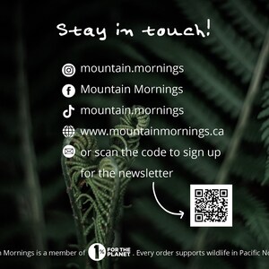 May include: Image with the text "Stay in touch!" and social media icons for Instagram, Facebook, and TikTok, along with a website address and a QR code to sign up for a newsletter. The background features a blurred image of green foliage.