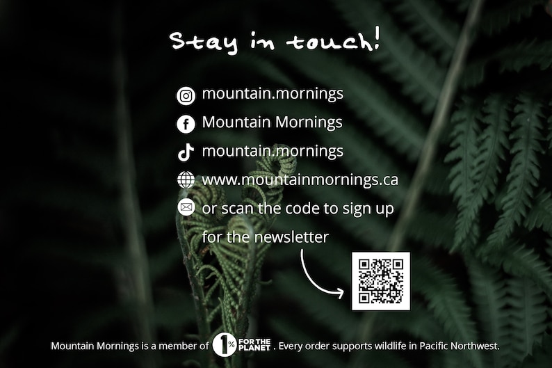 Pode incluir: Imagem com o texto "Mantenha contato!" e os perfis de m&iacute;dia social da Mountain Mornings, incluindo Instagram, Facebook, TikTok e um site. H&aacute; um c&oacute;digo QR para se inscrever na newsletter. O fundo &eacute; uma samambaia verde escura.