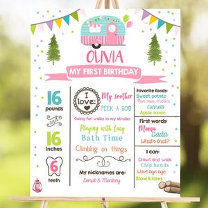 Bearbeitbar Happy Camper Geburtstag Meilensteine Zeichen JEDES ALTER Pink Camper Mädchen Glamping Party Dekoration Digitaler Download Vorlage Printable 0342