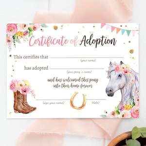 Adopt a Pony Adoption Certificate Horse Adoption Horse Birthday Party Pony Birthday Girl Horseback Riding Digital Download Printable 0408