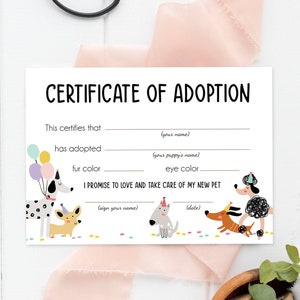 Pet Adoption Certificate Puppy Adoption Dog Birthday Party Adopt A Pet Girl Pink Vet Puppy Adoption Instant Download Digital PRINTABLE 0429