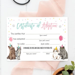 Pet Adoption Certificate Cat Adoption Cat Birthday Party Adopt A Cat Girl Pink Vet Kitten Adoption Instant Download Digital PRINTABLE 0384