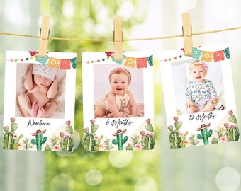 Editable Fiesta Monthly Photo Banner First Birthday Boy Girl Fiesta Mexican Cactus Desert Decor Summer Digital Template Printable 0404
