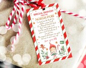 Editable Elf Hot Chocolate Bomb Tags Bomb Instructions Hot Cocoa Favor Tags Elf Arrival Christmas Gift North Pole Printable Template 0358 Il_170x135