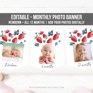Editable Strawberry First Birthday Monthly Photo Banner Blueberry First Birthday Farmers Market Fruit Corjl Download Template Printable 0399