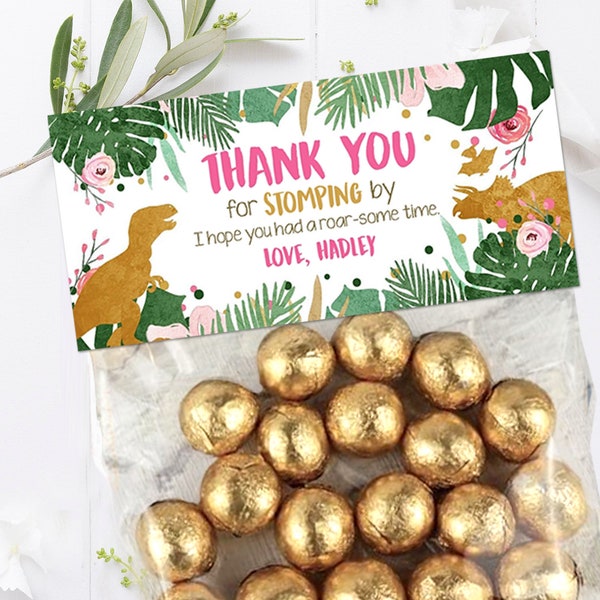 Editable Dinosaur Treat Bag Toppers Girl Pink Gold Dinosaur Birthday Thank You for Stomping By Dino Favor Bag Corjl Template Printable 0146
