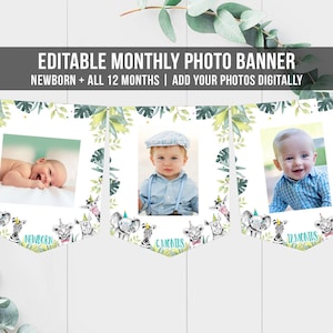 Editable Monthly Photo Banner First Birthday Banner Party Animals Safari Animals Banner Wild One Confetti Digital Template Printable 0322