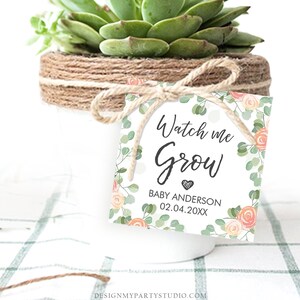 Editable Watch Me Grow Tags Baby Shower Favor Tags Plant Tags Cactus Succulent Thank You Tag Download Corjl Template Printable 0029