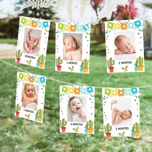 Editable Taco Fiesta Monthly Photo Banner First Birthday Banner Boy Girl Birthday Party Mexican Cactus Decor Summer Corjl Template 0161
