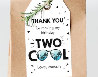 Editable Two Cool Favor Tag Birthday Thank You Tag Boy Second 2nd Birthday Gift Tag Sunglasses Palm Digital Download Template Printable 0136