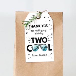 Editable Two Cool Favor Tags Birthday Thank You Tags Boy Second Birthday 2nd Gift Tags Sunglasses Palm Digital Corjl Template Printable 0136