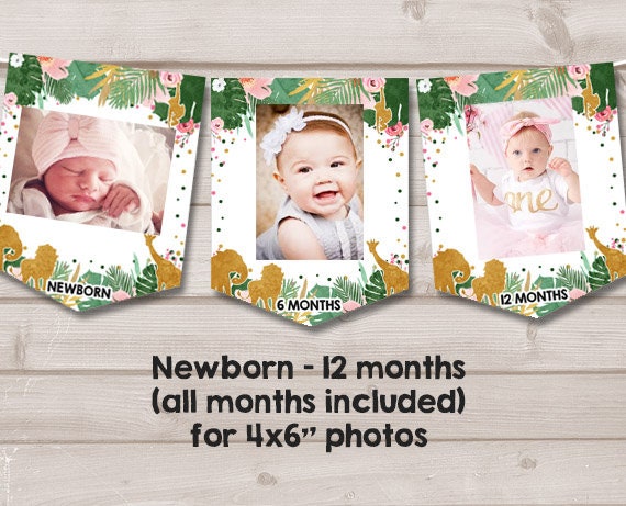 Safari First birthday banner Monthly Photo Banner Zoo Jungle Banner Gold Pink Girl Elephant Giraffe Wild one Animals PRINTABLE Digital 0016 Il_570xn