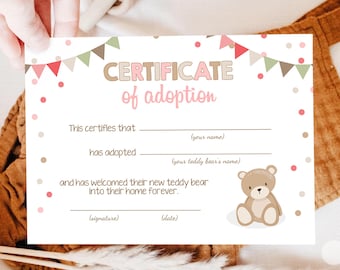 Teddy Bear Adoption Certificate Adopt a Teddy Bear Birthday Teddy Bear Picnic Decor Girl Pink Instant Download Digital Printable 0100