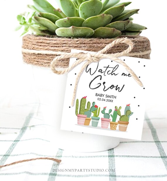 Editable Watch Me Grow Tags Fiesta Cactus Favor Tags Baby Shower Bridal Succulent Taco Bout Love Tag Corjl Baby Template Printable 0254 Il_570xn
