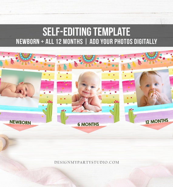 Editable Fiesta First Birthday Banner Monthly Photo Banner Cactus