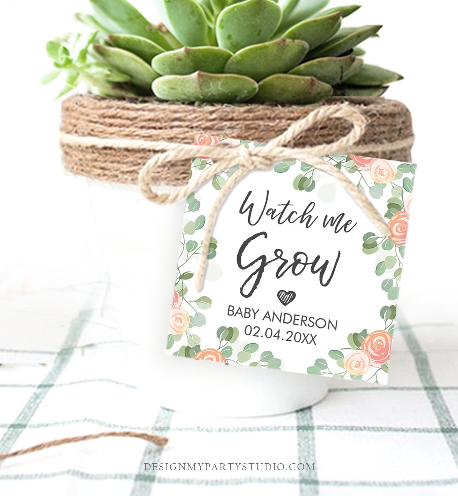 editable-watch-me-grow-tags-baby-shower-favor-tags-plant-tags-cactus-succulent-thank-you-tag-download-corjl-template-printable-0029-etsy