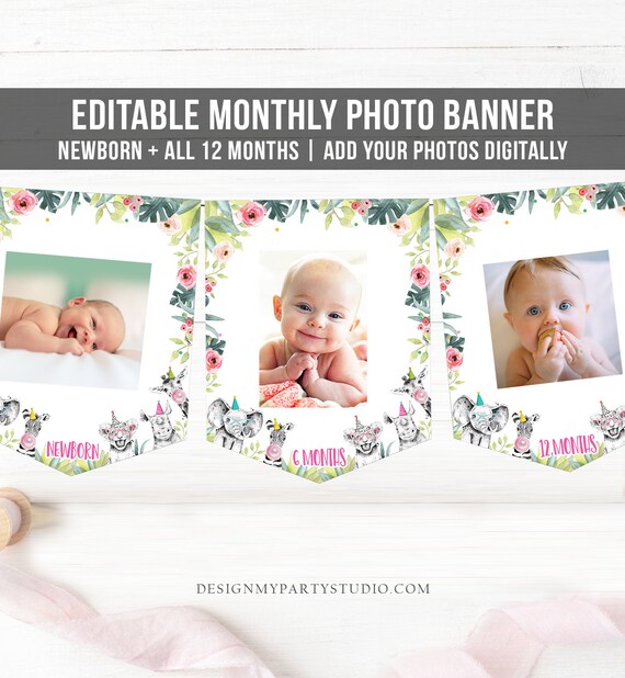 Editable Monthly Photo Banner First Birthday Banner Party Animals Safari Animals Banner Zoo Wild One Confetti Corjl Template Printable 0322 Il_570xn