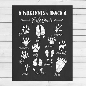 Animal Track Field Guide Woodland Nursery Woodland wall decal Wilderness Nursery decor Wildlife White black Digital PRINTABLE download 8x10 image 2