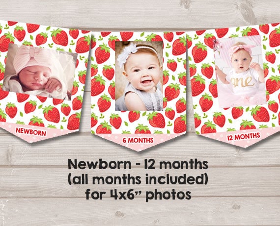 Strawberry First Birthday Banner Monthly Photo Banner Strawberry