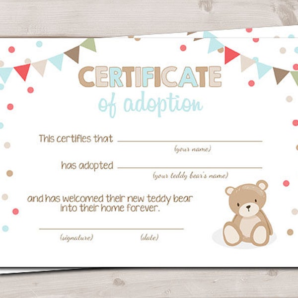 Teddy Bear Adoption Certificate Teddy Bear Birthday Teddy Bear Picnic Decor Boy Blue Adopt a Teddy Instant Download Digital PRINTABLE 0100