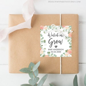 Editable Watch Me Grow Tags Baby Shower Favor Tags Plant Tags Cactus ...