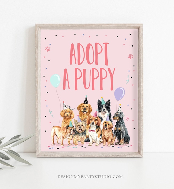 Dog adoption cheap birthday