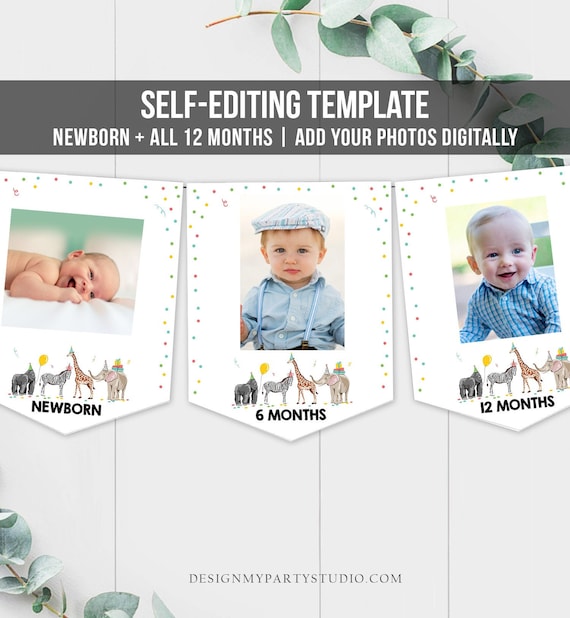 Editable Monthly Photo Banner First Birthday Banner Party Animals Animals Banner Zoo Birthday Decor Safari Confetti PRINTABLE Corjl 0142 Il_570xn