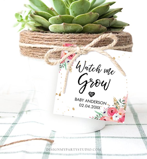 Let Love Grow Wild Baby Shower Seed Packet Favor