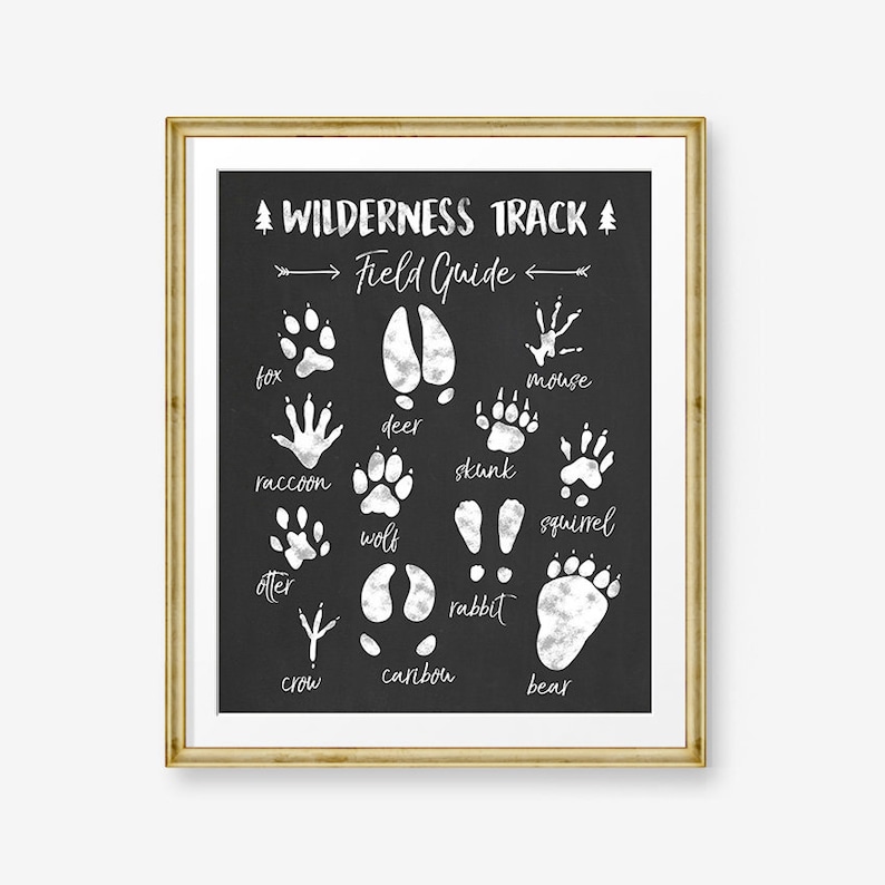 Animal Track Field Guide Woodland Nursery Woodland wall decal Wilderness Nursery decor Wildlife White black Digital PRINTABLE download 8x10 image 1