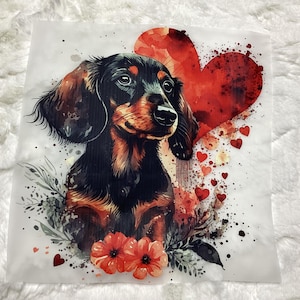 Puede incluir: Un dachshund negro y marr&oacute;n con un coraz&oacute;n rojo detr&aacute;s. El perro est&aacute; rodeado de corazones rojos y flores.