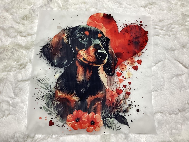 Puede incluir: Un dachshund negro y marr&oacute;n con un coraz&oacute;n rojo detr&aacute;s. El perro est&aacute; rodeado de corazones rojos y flores.