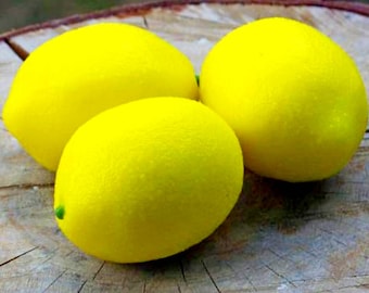 Moule à Citron En Silicone - Pour Mousse, Gâteau Ou Glace - 29,7 Cm, Va Au Four Et Congélo - Décoration Dessert Facile