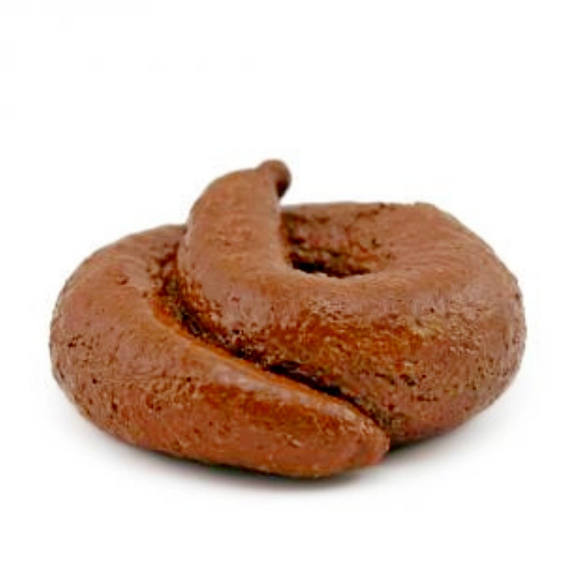 Silicone Soap Mold Poop Mold Making Candle Molds Silicone Mold Etsy