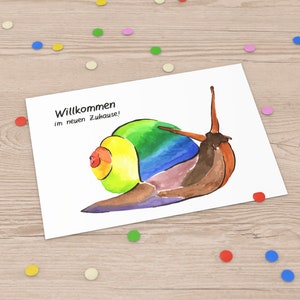 Postkarten "farbige Tiere"