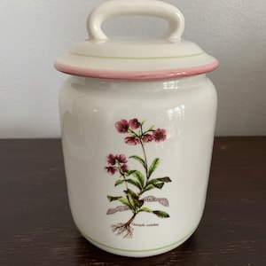 Vintage Primula Italian Herb Canister Jar Chimapila Umbellata - Made in Italy