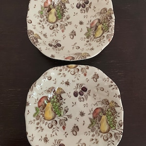 Johnson Brothers Autumn&#39;s Delight Fruit Dessert Bowls - Set of Two (2)