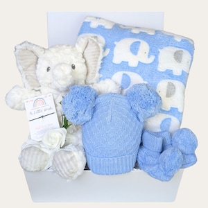 Cesta de presente para recém-nascidos - Azul-bebê
