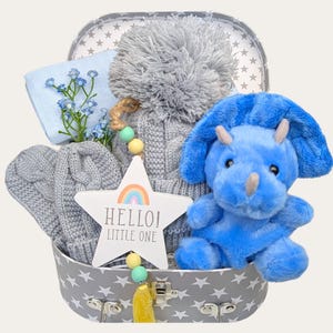 Pequeno Dinossauro - Cesta de Presentes para Bebê Menino