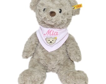 Honey Teddy bear with wish name on scarf Pink